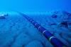 Kazakhstan completes offshore section of Trans-Caspian fiber-optic cable to Azerbaijan