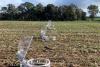 Boorowa research station opens its gates as trials expand