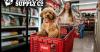 Tractor Supply Expands Pet Assortment With More Than 200 New Dog and Cat Products