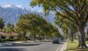 San Bernardino's Urban Forest Helps Create Cooler, Healthier Neighborhoods