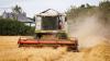 'Brutal' harvest could be worst on record because of extreme summer