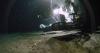 Shinkai 6500 Dives Uncover Dozens of New Species in Japan’s EEZ">