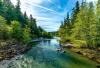 Cannabis farms are drying up California's mountain streams