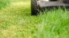 Farmer’s Almanac map reveals exactly when Americans in each state should stop mowing lawns