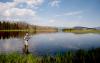 Henry’s Fork Lodge in Idaho blends luxury hotel training with premier fishing experience