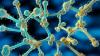 Texas leads US in Candida auris cases as deadly fungus hits 23 states