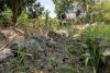 S&P says preemptive measures to shield Philippines from ‘super El Niño’
