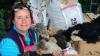 Farmer launches £10k appeal to save flock amid drought