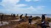 Mexico Declares War on Stinky Seaweed