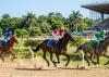 National Horse Racing Commission rejects gambling regulation allegations