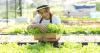 Unique places that offer funding for women in agriculture
