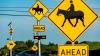 Development Comes for a Florida Hub of Elite Equestrian Activity