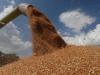 Ministry: Wheat, barley reserves cover nearly 10 months