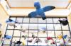 Art that really soars: Hopkins Academy student installation at Hadley Public Library is strictly for the birds