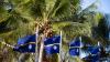 Nauru, a Small Island in South Pacific, Changes Its Name to Naoero