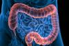 Inflammatory Bowel Disease Increases Psychiatric Risk