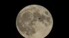 Scientists are certain wayward SpaceX rocket slammed into moon as predicted