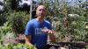 New Jersey gardener says August isn't too late to plant 20-plus crops for fall, winter harvests
