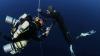 New Video Shows Scientists Working on How O2, CO2 Levels Change In Freedivers