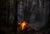 Arctic Fires Burn 2.5 Times More Near Industry: Satellites Reveal Human Ignition Map