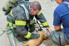Indiana firefighters race into burning home, return carrying 3 cats