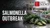 Jalapeños Suspected in Minnesota Salmonella Outbreak
