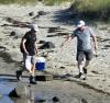 A Beach of Worlds: Every Sand Granule Buzzing With Life