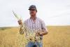 Oregon tribes take systems approach to ag for flour mill
