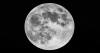 SpaceX rocket slammed into moon as planned, scientists say