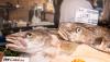 UK’s Peterhead Market sees GBP 7.38 per kilogram for wild Atlantic cod this week