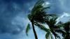 Standing strong after the storm: Natural disasters fraud prevention