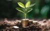 Canara Bank Targets ₹50,000 Crore Corporate Loan Expansion as Green Energy and Data Centres Drive Demand