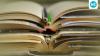 Teaching beyond textbooks: How AI is reshaping management education