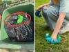Dog poo banned from green bins under major new recycling rule change