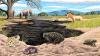 Extinct toad from the ice age discovered at Los Angeles’ La Brea Tar Pits