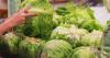 Cyclospora outbreak concerns grow as cases rise in Massachusetts