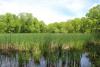 Wetland fears in Illinois force data center developer to halt permit bid