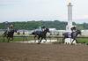 Preakness Stakes will shift to Sunday for first time ever, move one week later than normal