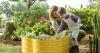 34 Gardening Products That Actually Work And Have The Photographic Evidence To Prove It