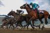 Maryland Jockey Club announces changes to 2027 Preakness Week