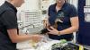 ZooTampa animals find relief through acupuncture