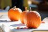 Europe’s largest pumpkin festival to debut new themed valley in West Sussex