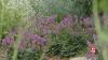 Hidden gems of Boothbay, Maine: art, gardens & coastal wonders