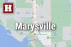 Indoor farming company shutters, more than 50 laid off at Marysville site