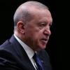 Turkish MPs back limited amnesty for Kurdish militants
