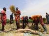 When the Land Can No Longer Sustain Its People 