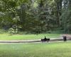 City of Magee Joins the Mississippi Arboreta Trail