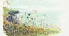 Somerset artist collaborates with TV gardener in new book