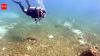 Utah nurse thought woman was drowning until he saw the blood and realized it was a fatal shark attack; did everything he could to save her