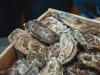 Florida Dept. of Agriculture closes shellfish harvesting location in East Bay